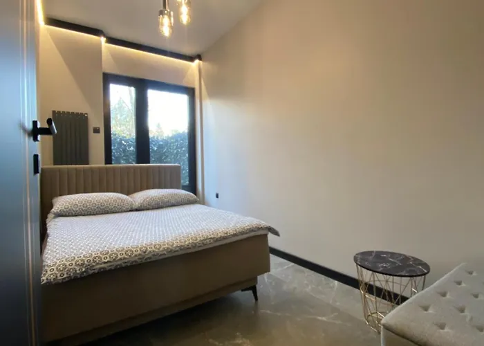 Apartment Industrial Vistula Free Parking & Gym Krakow