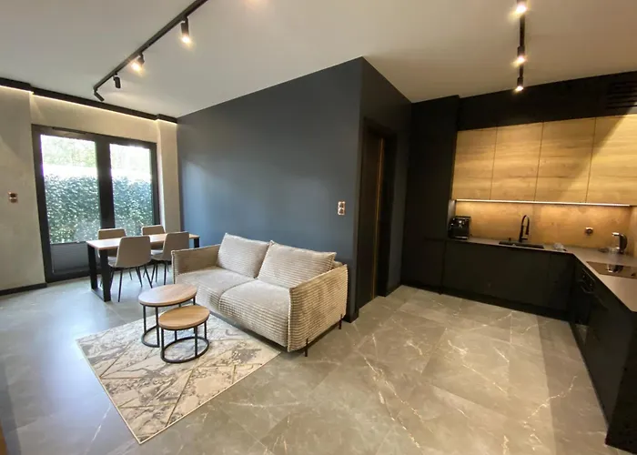 Industrial Vistula Free Parking & Gym Apartment *